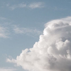 Meet your Posher, Abigail